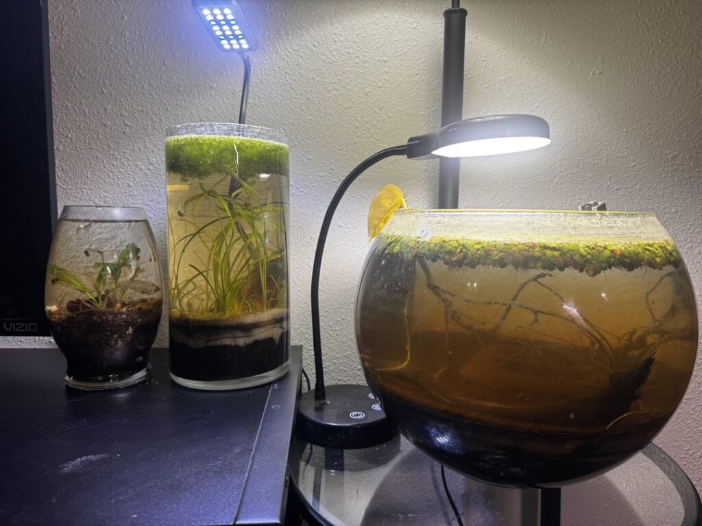 Acquired scuds: Advice Acquired scuds: Advice