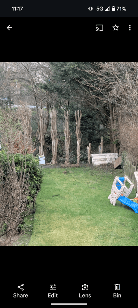 Turning trees into a fence