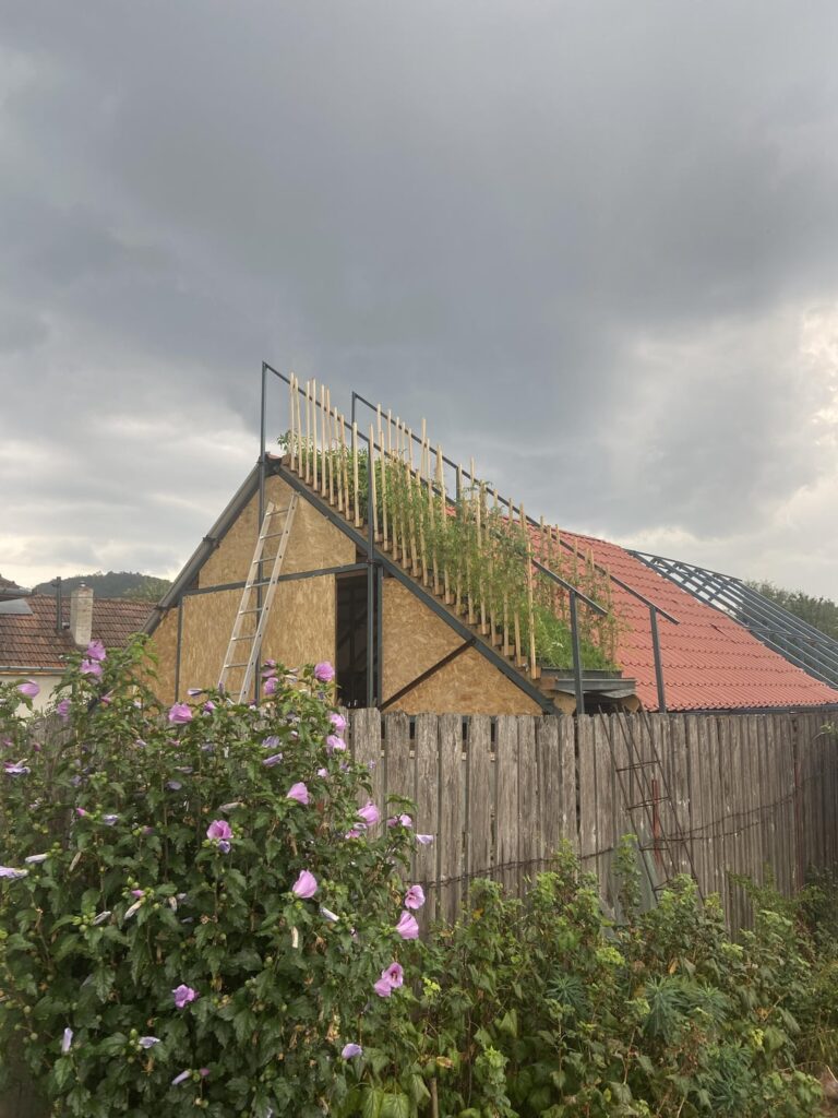 A roof garden A roof garden