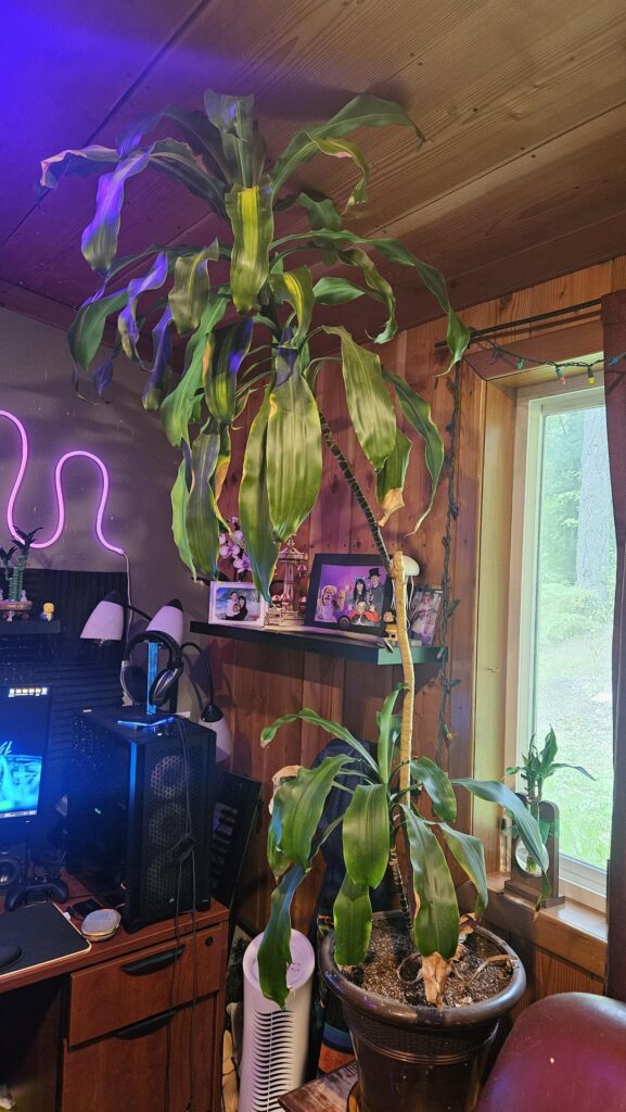 Can I turn this guy into 2 guys? Can I turn this guy into 2 guys?