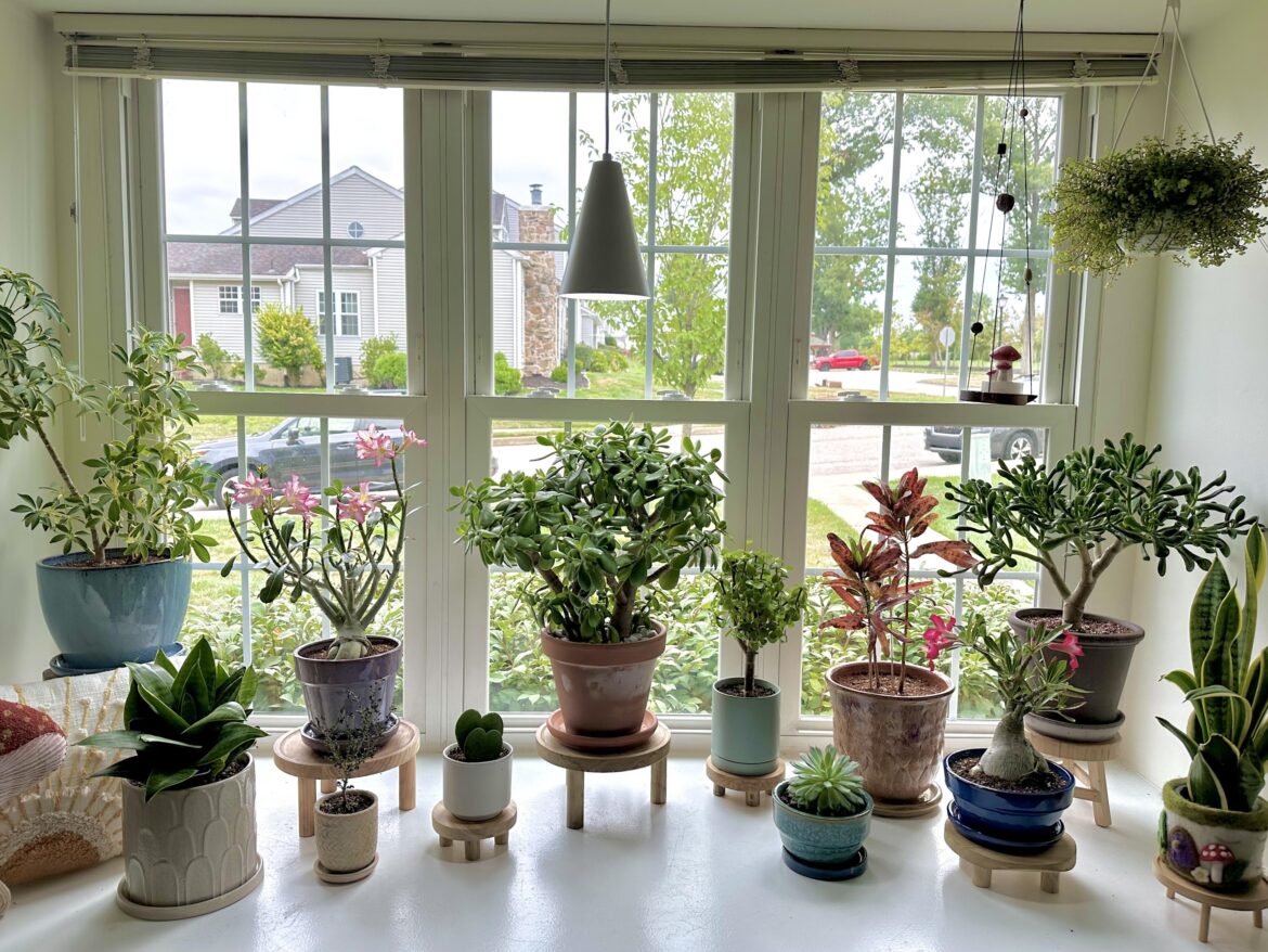 Our Windowsill