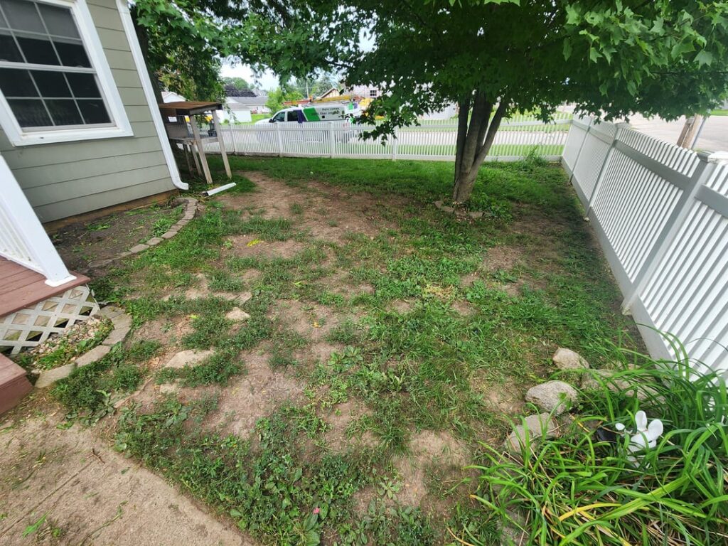 Help me save my lawn!