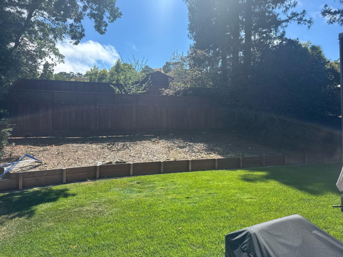 What would you do with this hill?