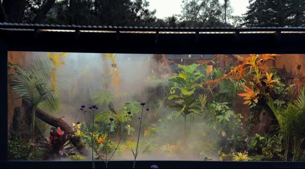 18,000 Gallon Vivarium Update: 18,000 Gallon Vivarium Update: