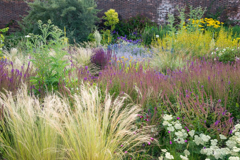 Gorgeous mix of perennials, ornamental grasses and shrubs in a sunny garden in July.