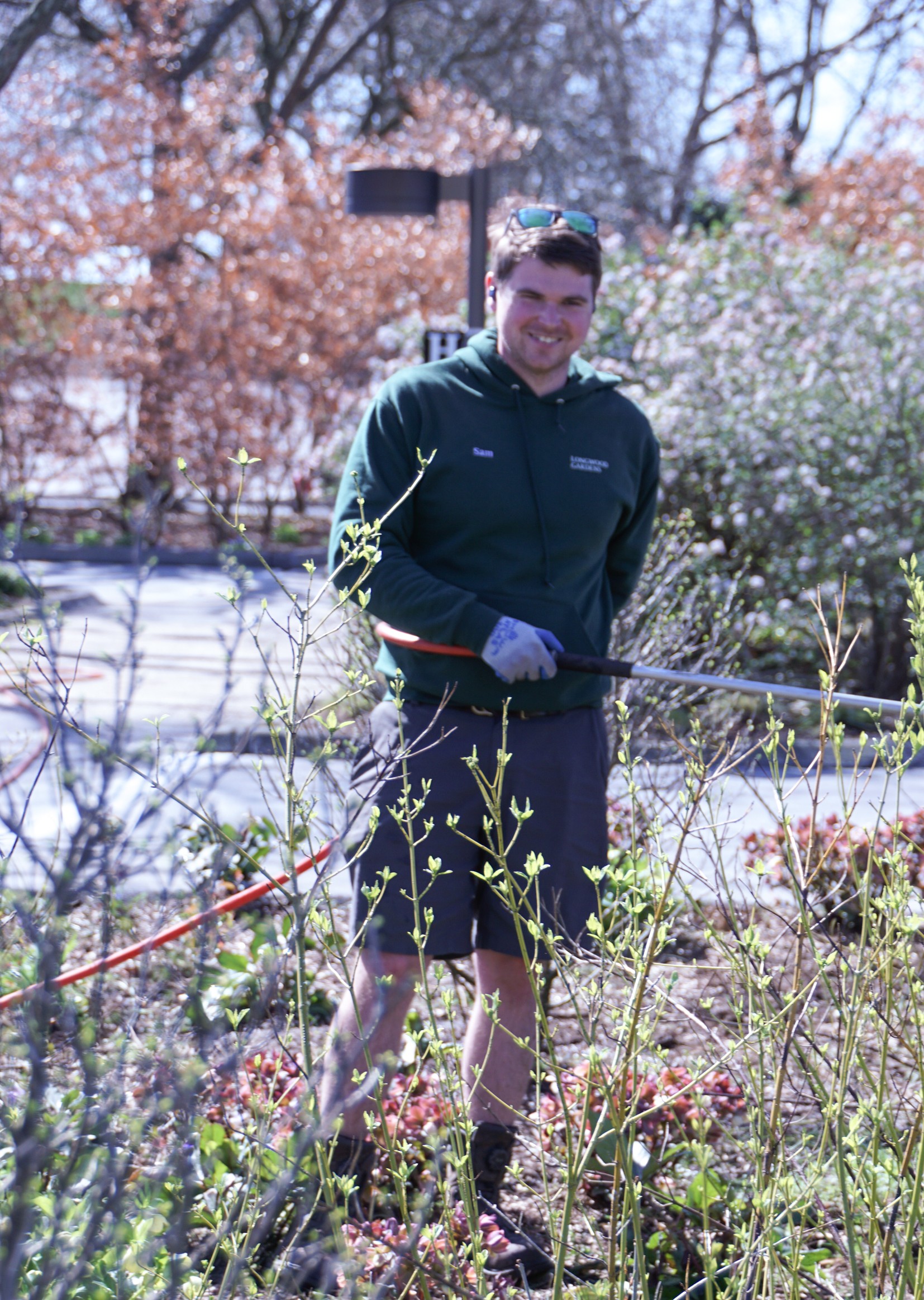 An image of Sam Greenberg in a garden
