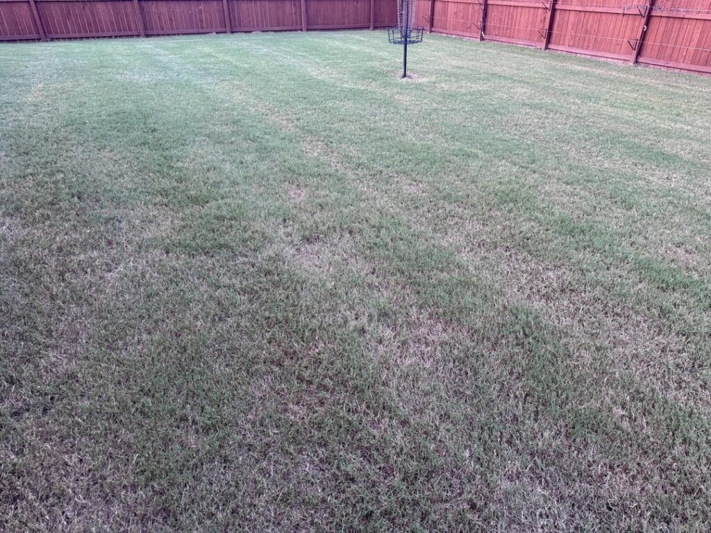 How to get thicker lawn? 7a