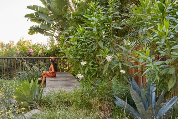 diversity sanctuary garden trend veranda