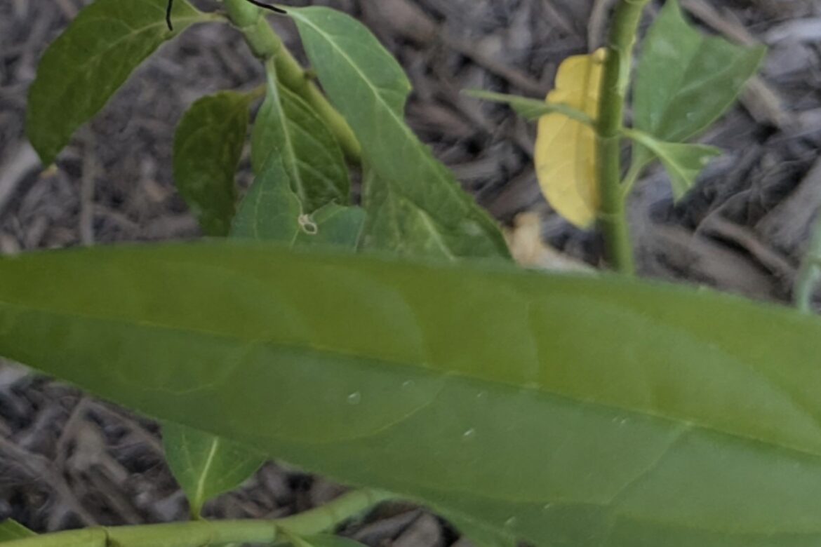 ‘It’s just super cool to see’ "Well done!"