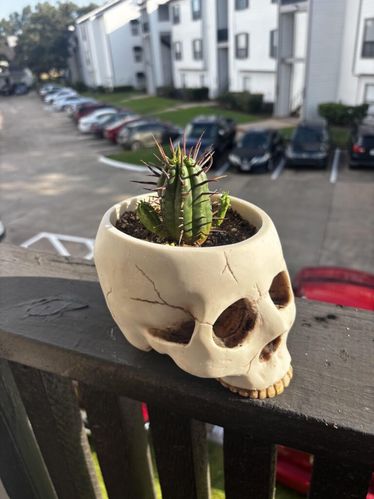 Who is my new friend, and how do I not murder it??? Who is my new friend, and how do I not murder it???
