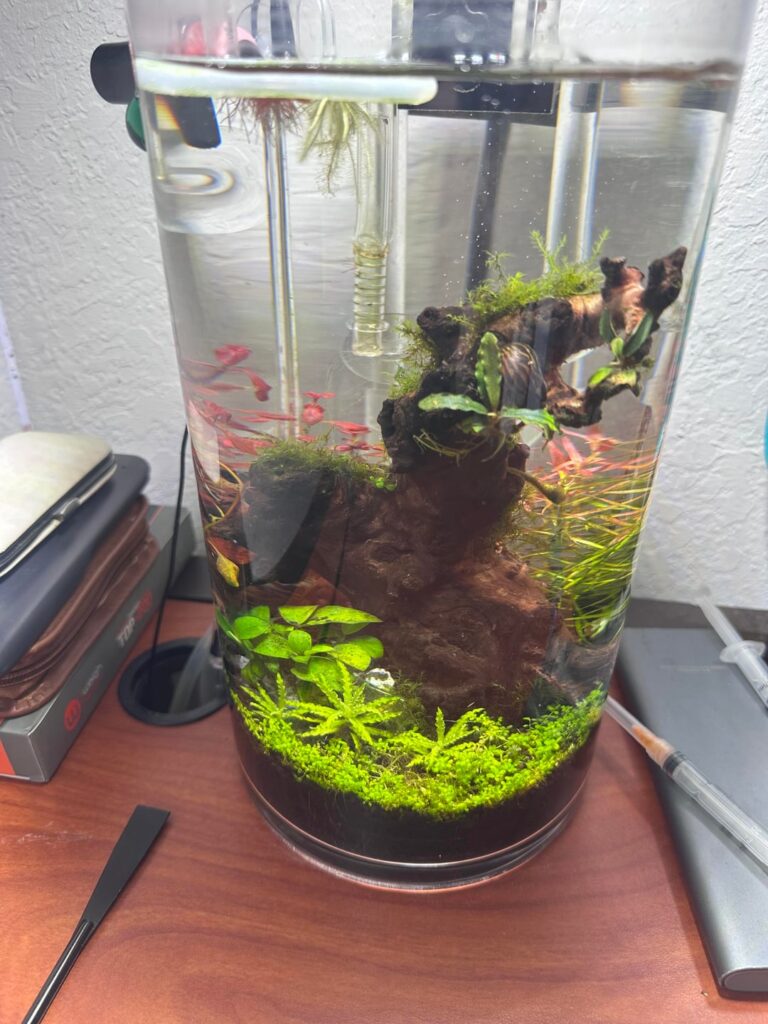 5.5L Hight Tech Jarrarium