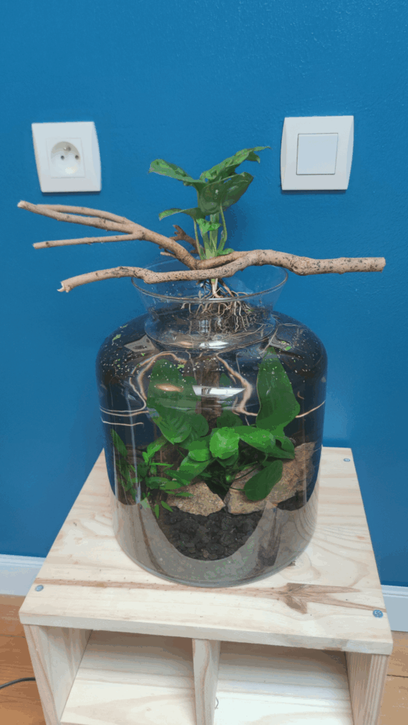 What are your thoughts on this 🤗