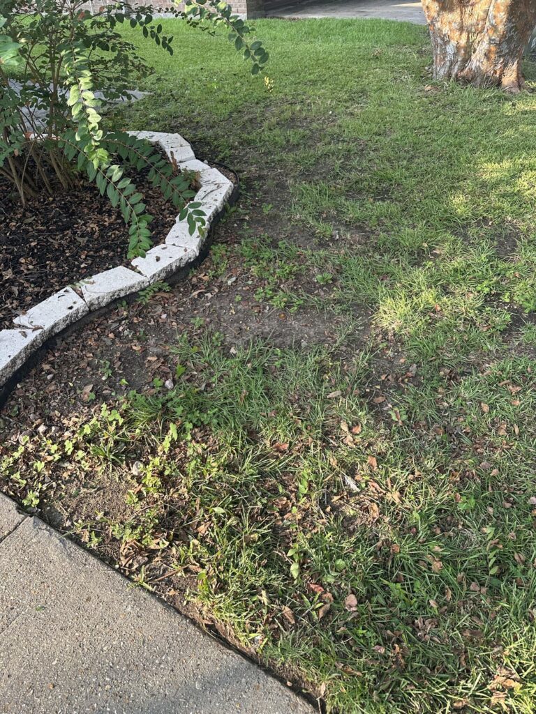 Fix Grassless Spots in Yard Fix Grassless Spots in Yard