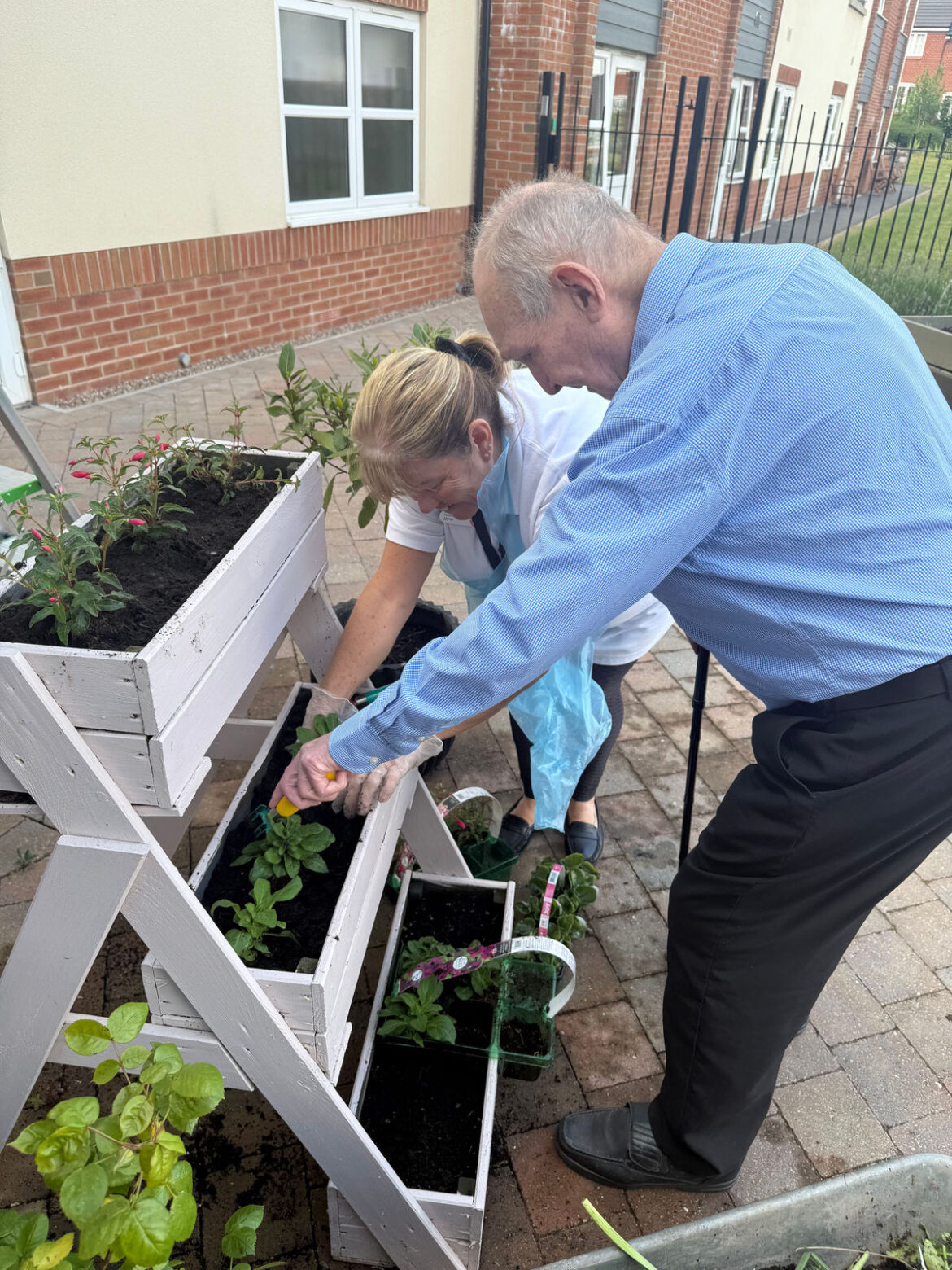 Cannock care home crowned finalist in national ‘Gardens in Bloom’ competition Residents at HC-One’s Littleton Lodge Care Home gardening lavender fields
