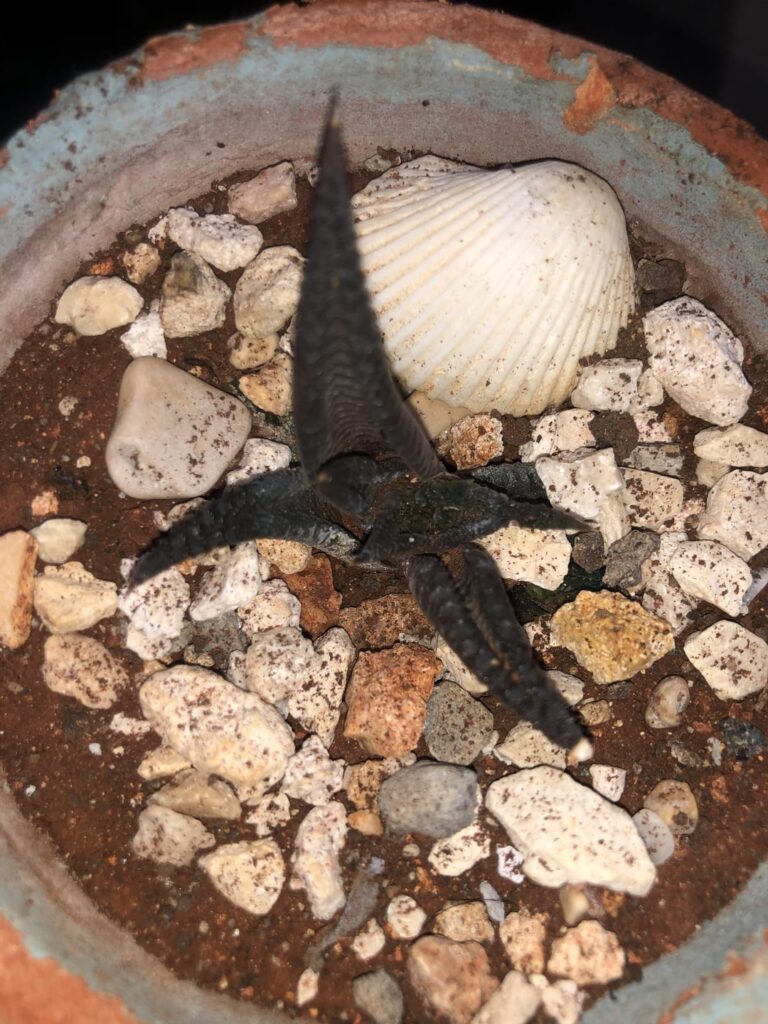 Hello, I need advice. Hello, I need advice.