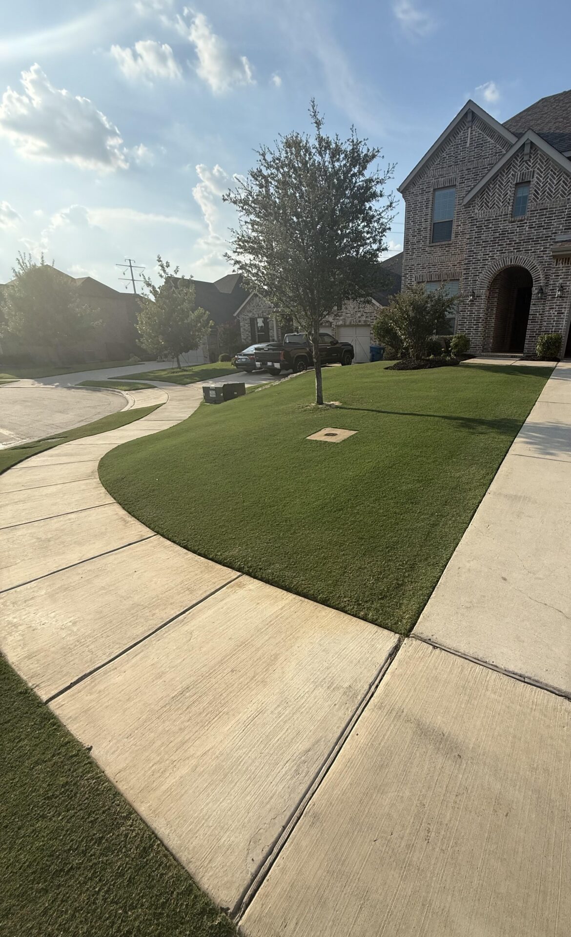 Reel Mowing Paying Off