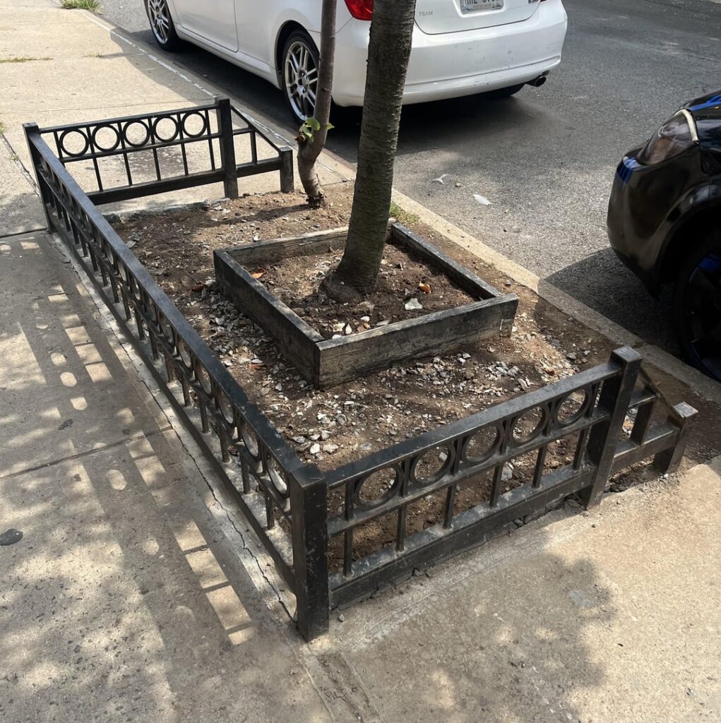 UPDATE: Tree will die, no?
