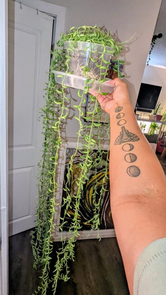 10 Months of Growth