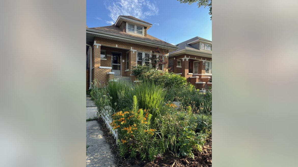 PHOTOS: Chicago's 10 best bungalow gardens, chosen by locals