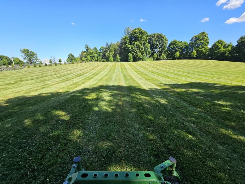 Just a bit of mowing