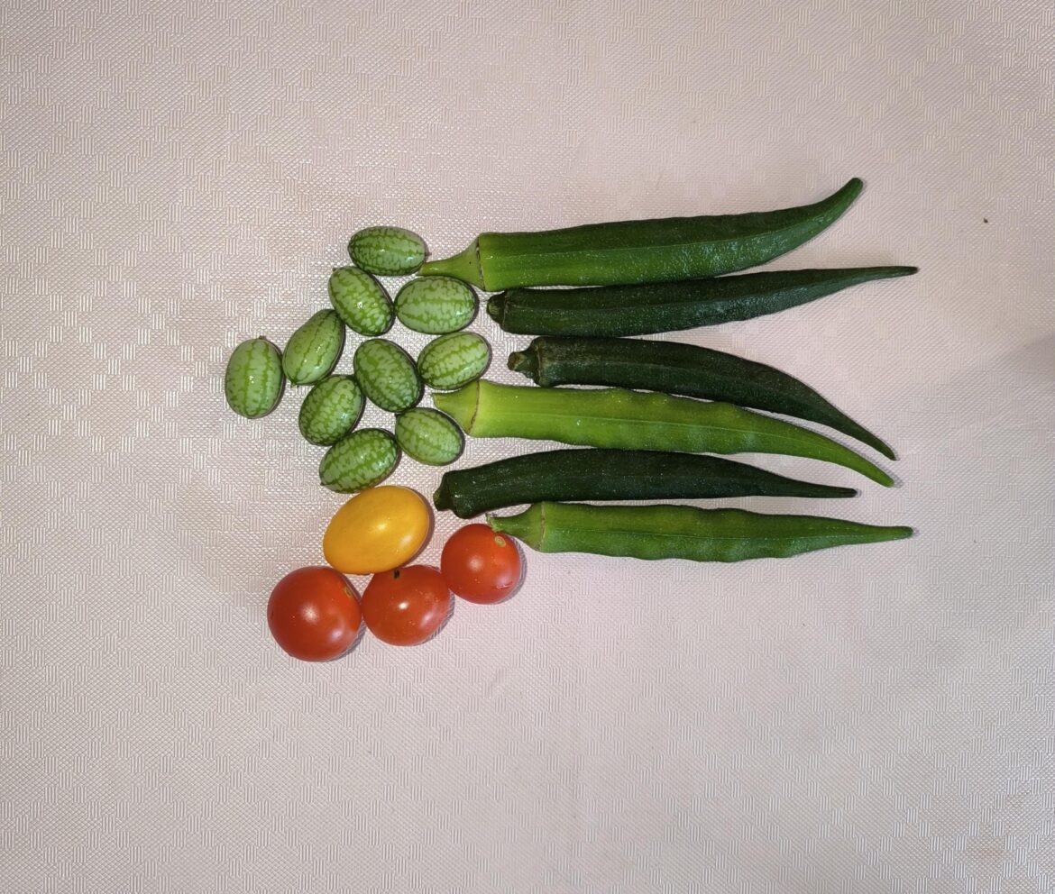 Ready for a small salad 🥗