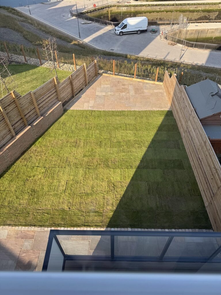 Looking for some sort of privacy plants/shrubs/trees. Any recommendations? Looking for some sort of privacy plants/shrubs/trees. Any recommendations?