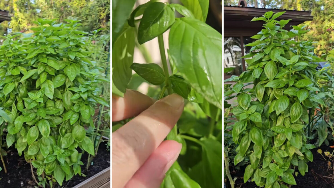 "Thanks for the tip."