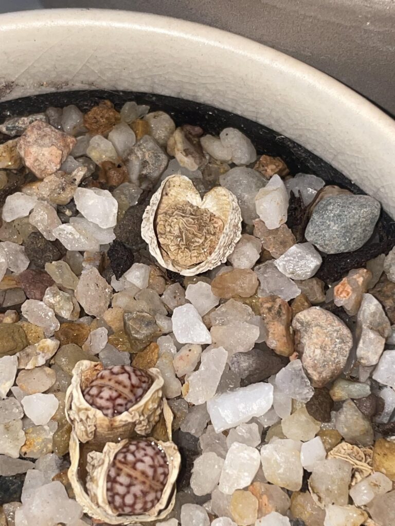 Is there anything I can do? Is there anything I can do?