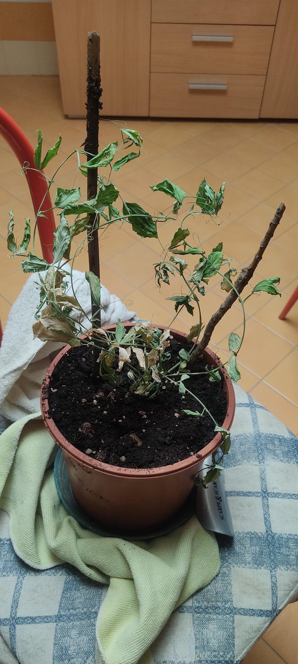 Can i save it or is it too late?