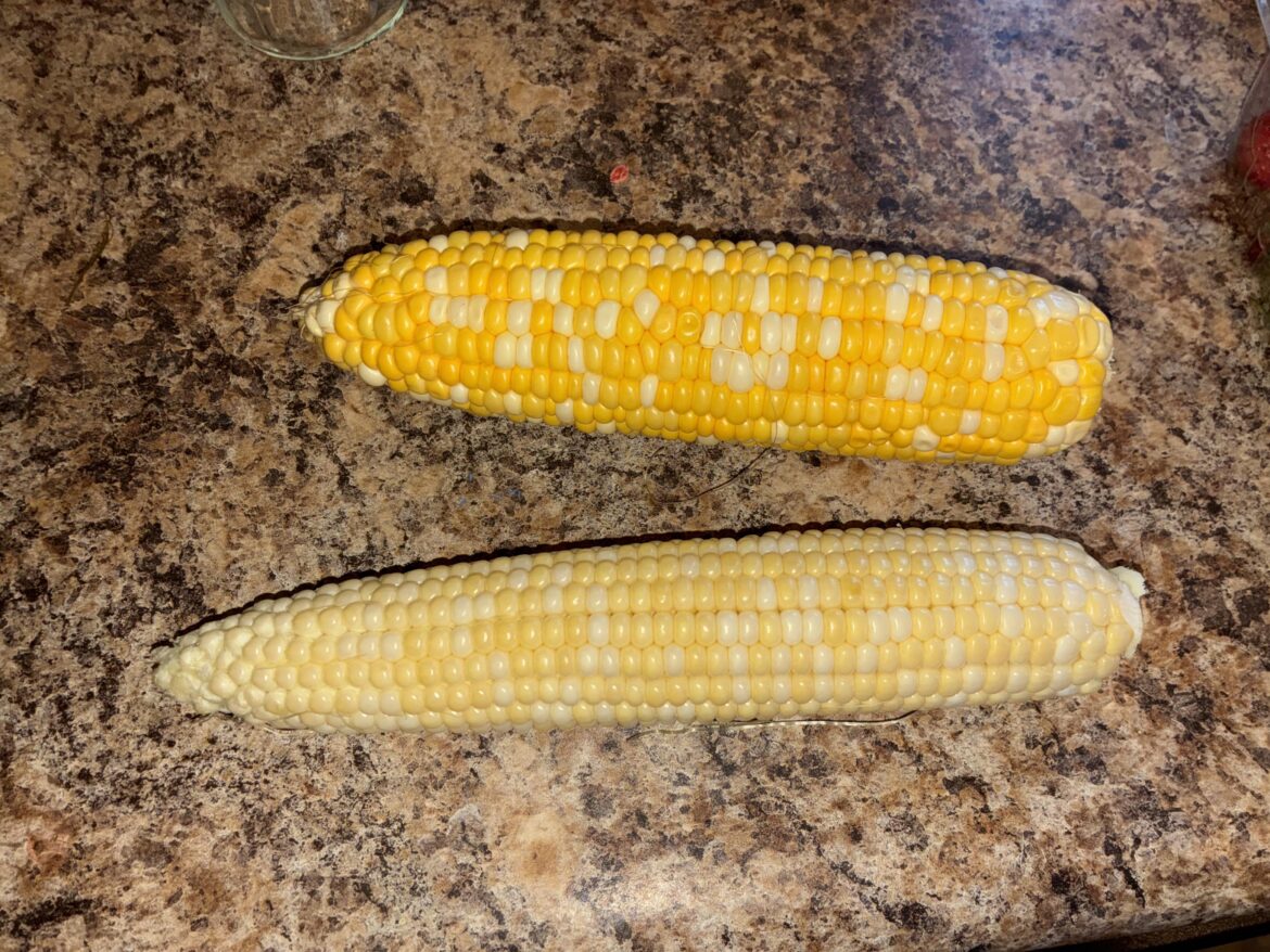 Ripe corn?