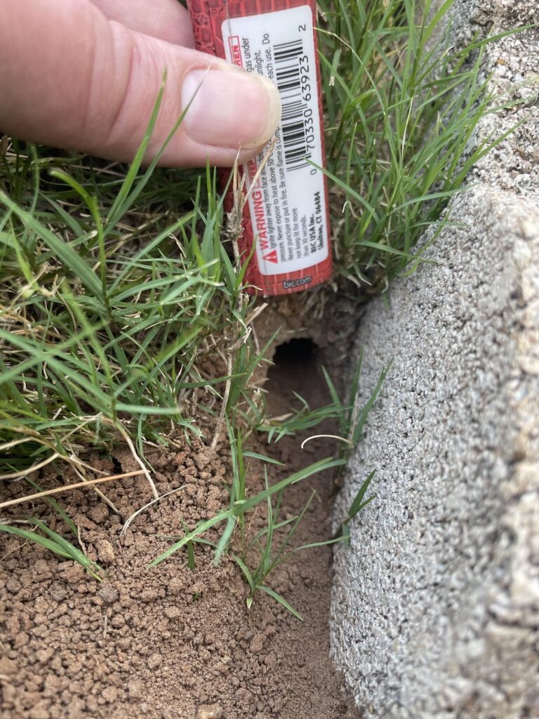 What is making these holes in my yard? Oklahoma City What is making these holes in my yard? Oklahoma City