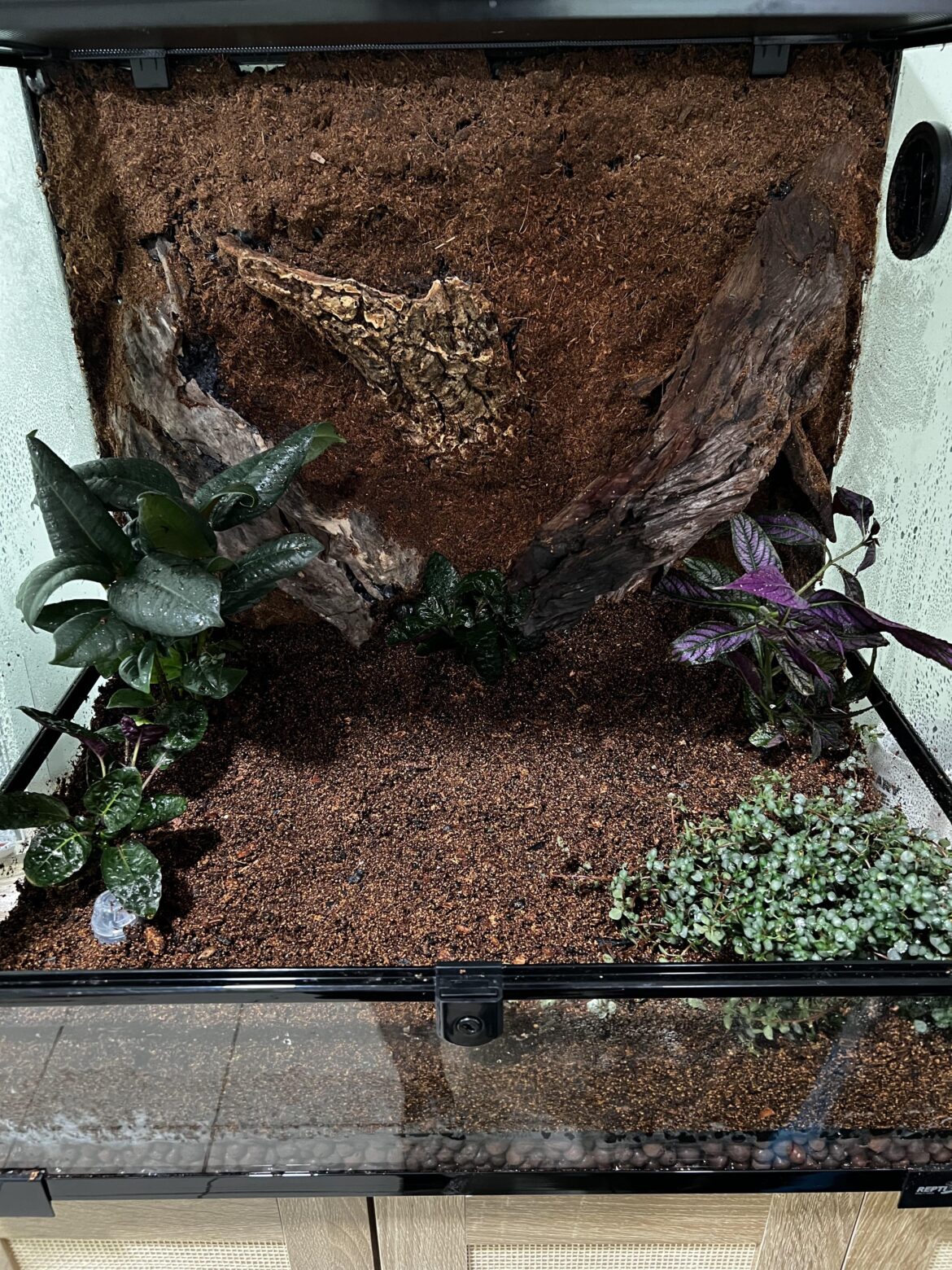 First Tank any thoughts?