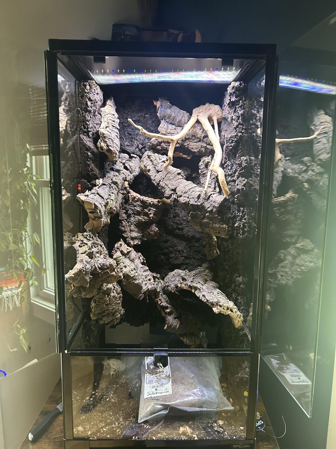 Thoughts on this layout?