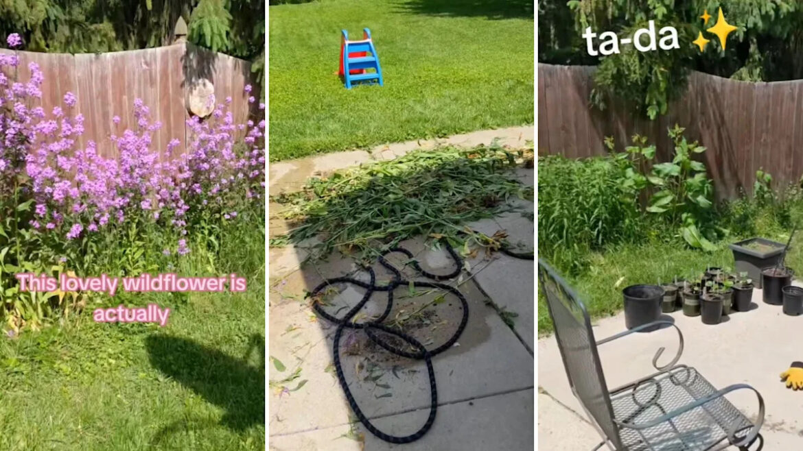 Yahoo lifestyle home