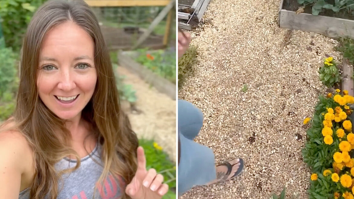 Gardener issues warning after making crucial landscaping mistake: ‘Worst nightmare’ "You just saved me a big headache."