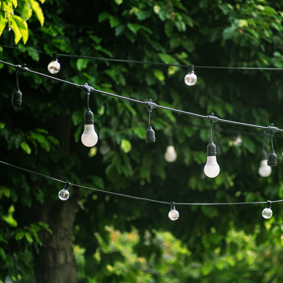 string lights gracefully hang between trees, creating a warm and inviting atmosphere. perfect for gatherings, events, or serene nights in a garden setting.