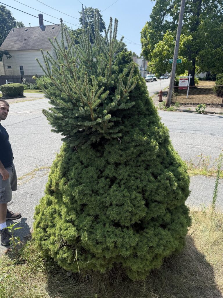 What’s going on here?