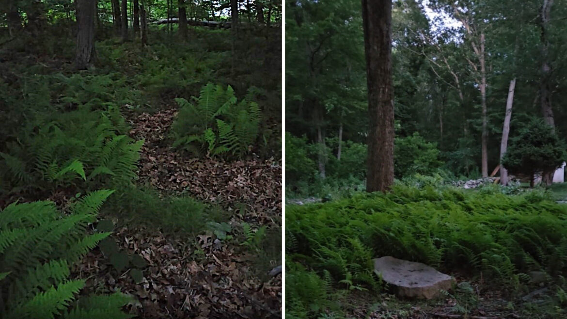 "Thank you for posting this," one commenter wrote.