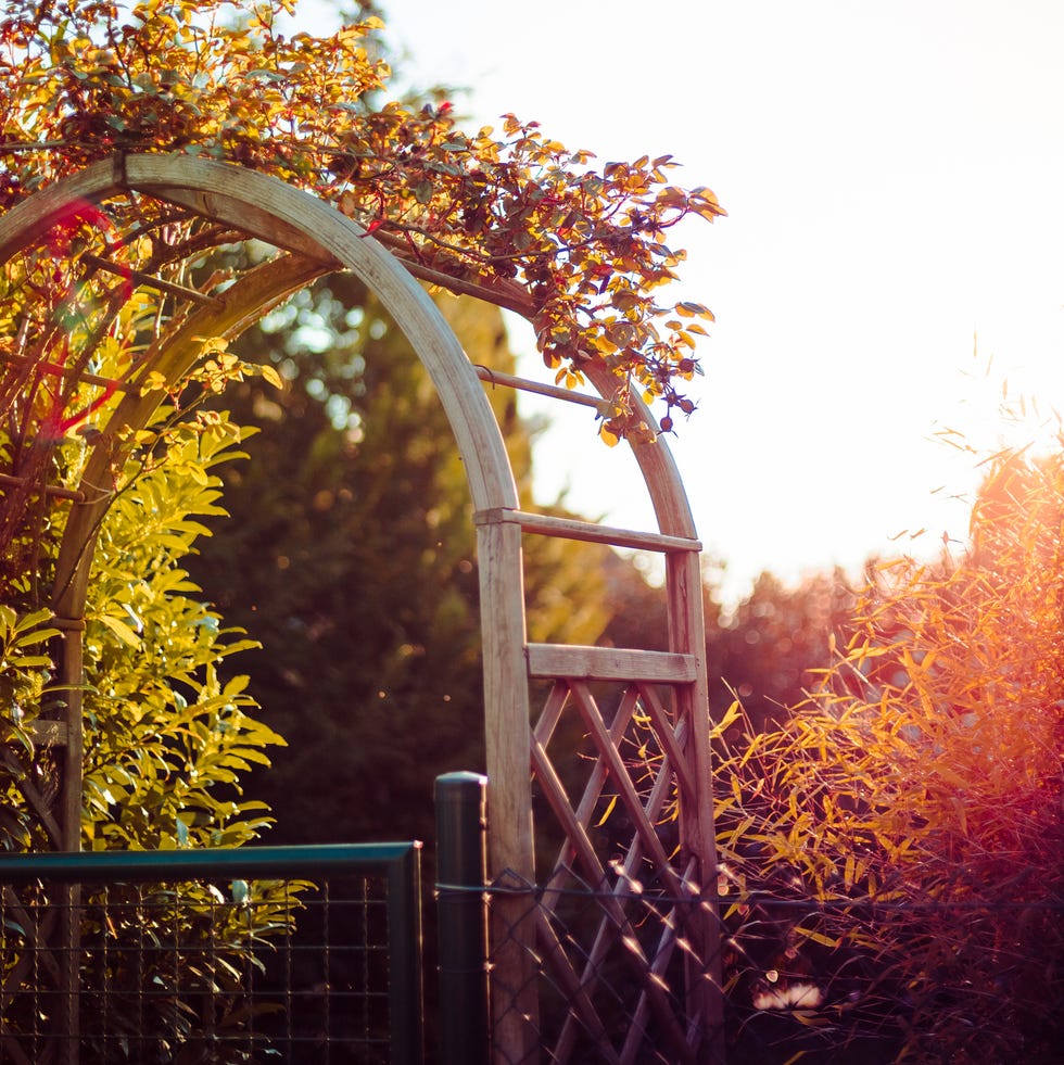 arched arbor over gate during sunset, germany
