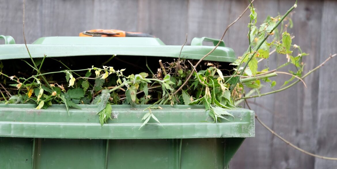 5 Surprising Things You Can Put In Your Garden Waste Bin