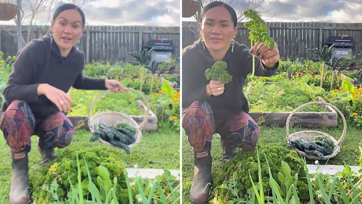 ‘Does not have to be complicated or expensive’ "I didn’t know this!"