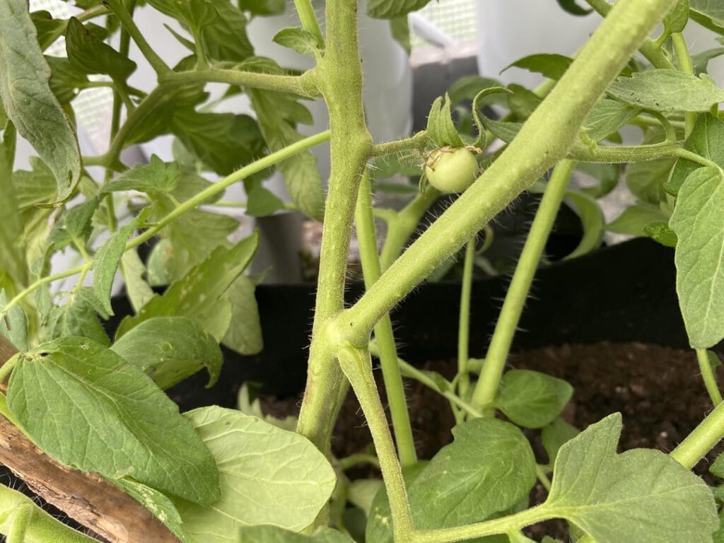 “Donny, you’re out of your element”