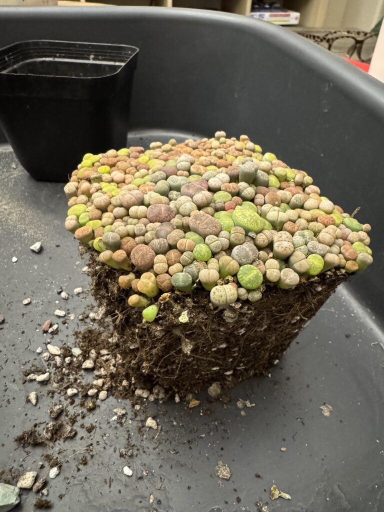 So relaxing. Hope I’m doing this right!