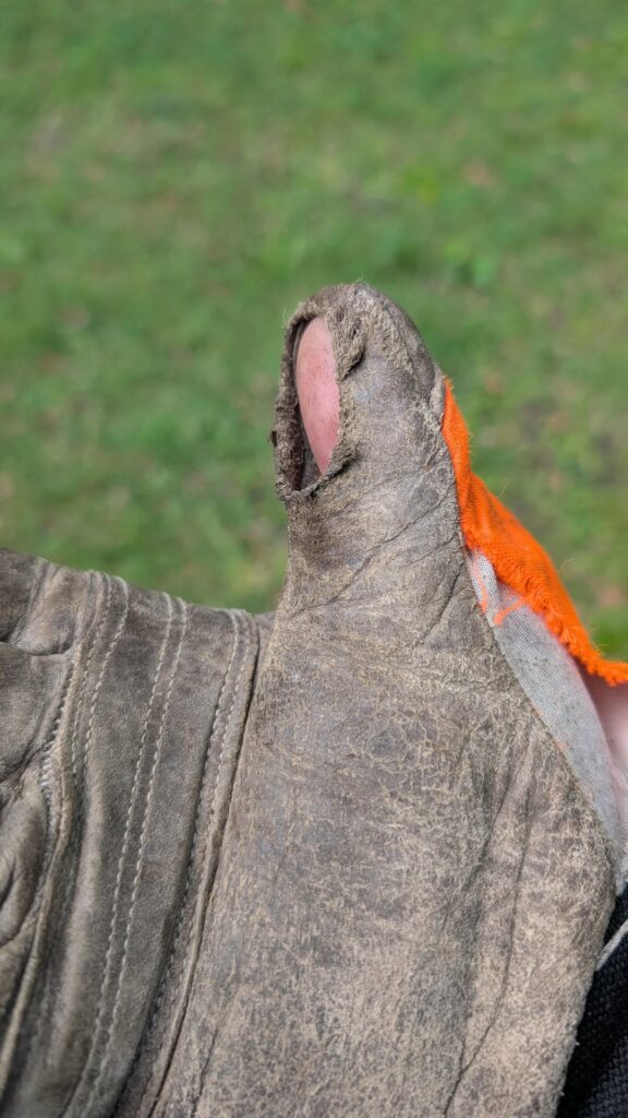 Endless glove failure