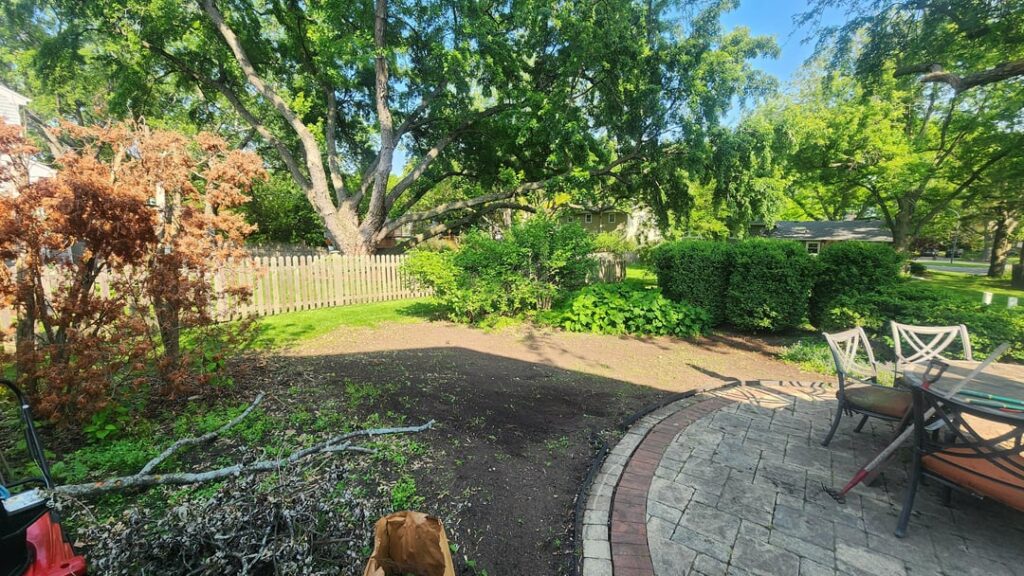 5 weeks (Chicago) Fescue/Kentucky Bluegrass 5 weeks (Chicago) Fescue/Kentucky Bluegrass