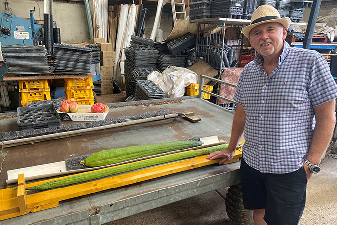 graham-barratt-with-the-longest-and-heaviest-luffas-at-wargrave-nursery-where-they-were-measured