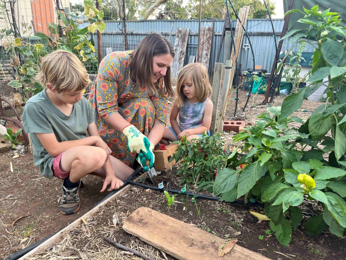 Sustainable food solutions on the doorstep – News Sustainable food solutions on the doorstep – News