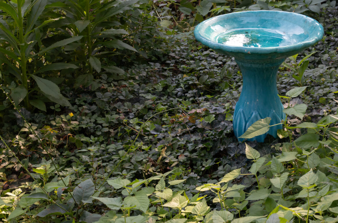 While the visitor may seem daunting, they are crucial to the ecosystem.