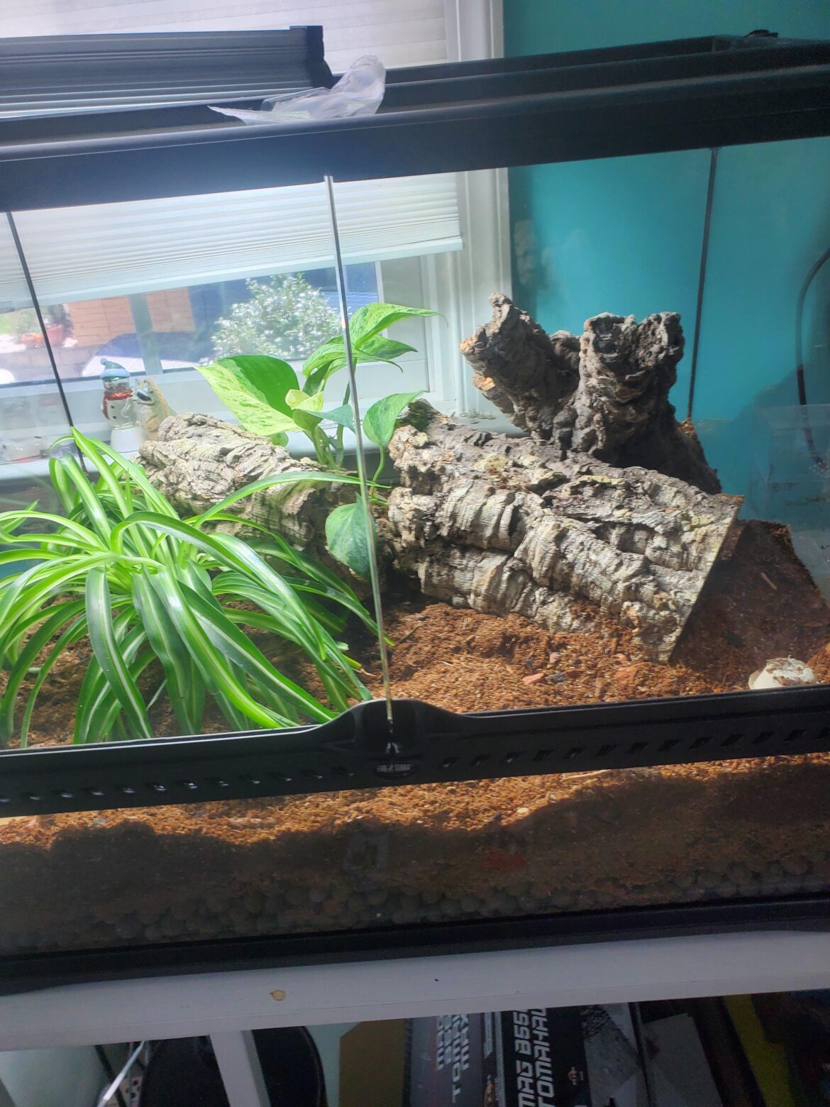 What to add? What to add?