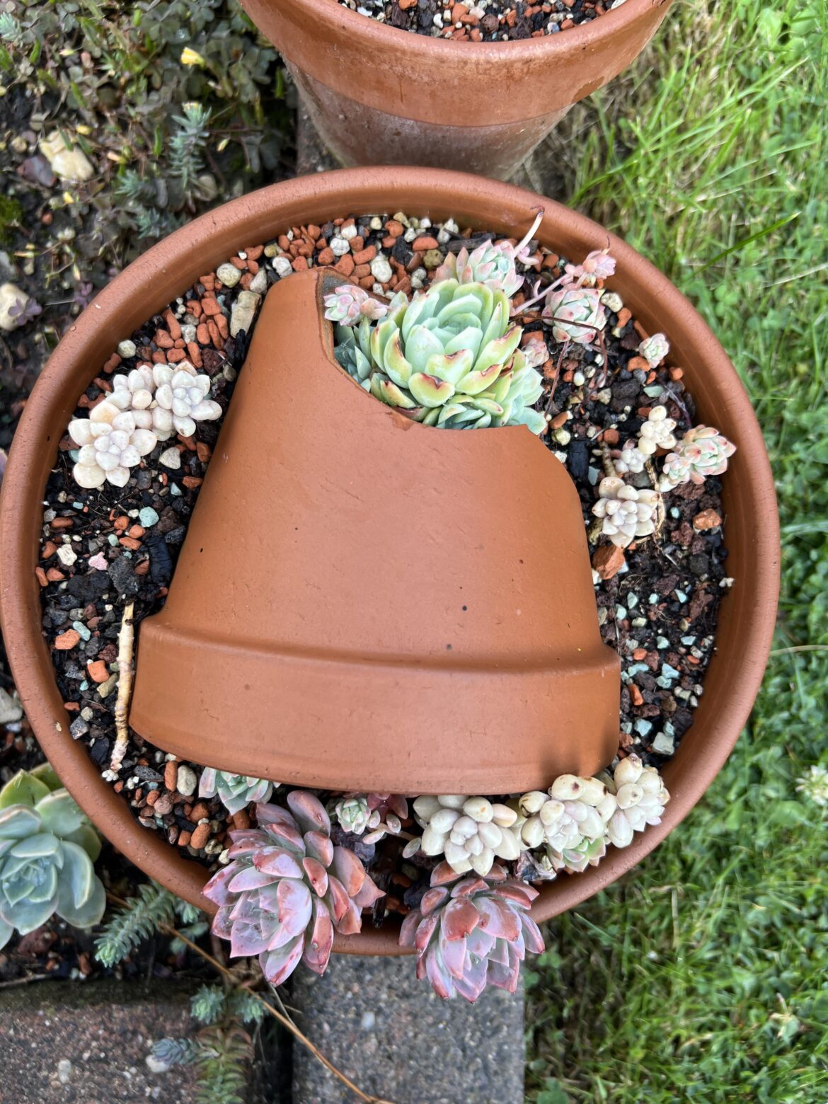 An arrangement I made with a broken pot and some props last year